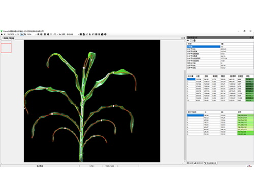 植物表型測量分析